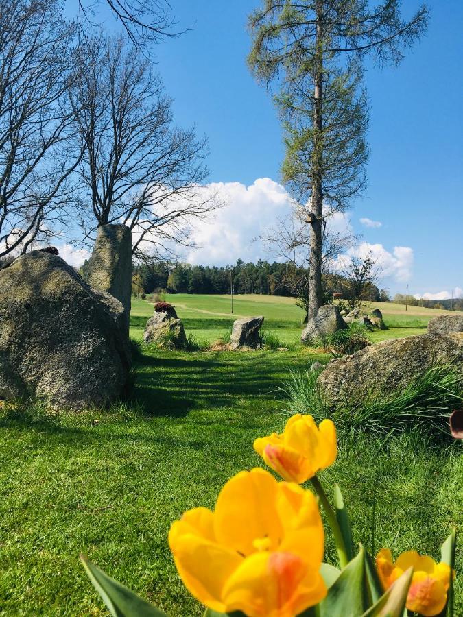 Familienapartments Mit Balkon Und Garten Ober-Lembach Eksteriør billede