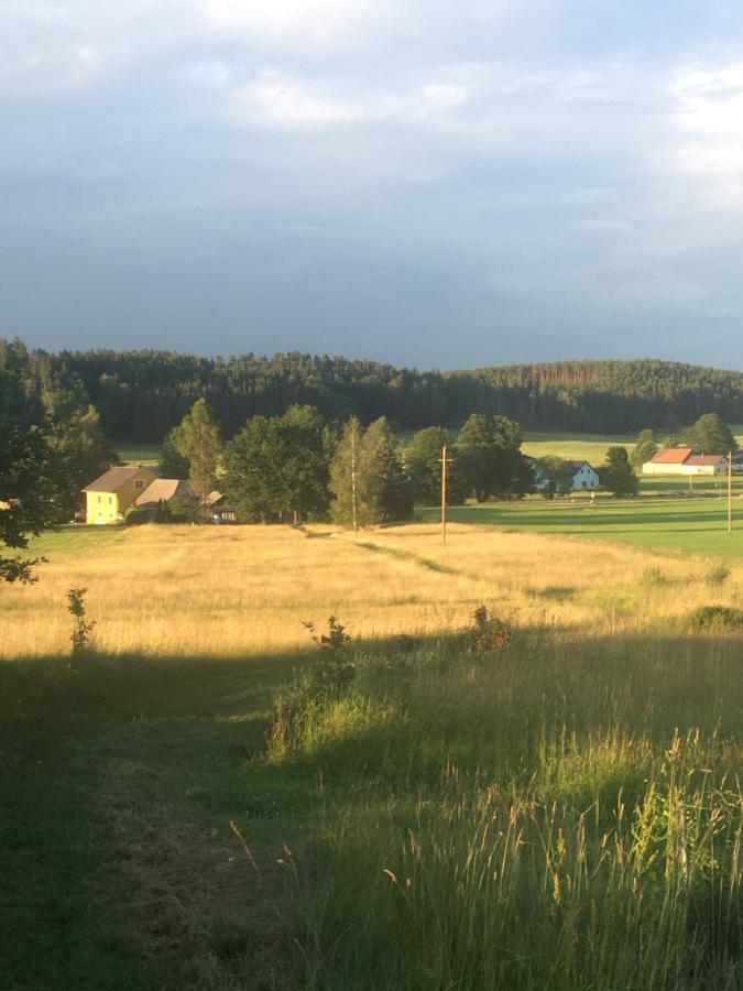Familienapartments Mit Balkon Und Garten Ober-Lembach Eksteriør billede
