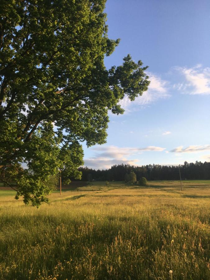 Familienapartments Mit Balkon Und Garten Ober-Lembach Eksteriør billede